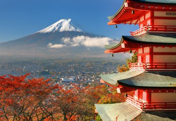旅行サービス
